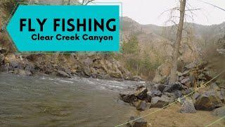 Squirmy Wormy after the Rain is too Good-Fly Fishing Clear Creek Canyon above Golden-March2022