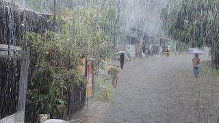 super heavy rain in my cold village, very heavy, fell asleep instantly with the sound of heavy rain