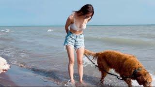 대형견 데리고 바다에서 수영하기 | TAKING MY DOG TO GO SWIMMING AT THE BEACH 