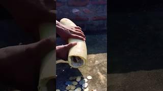 Coin & Kaddu Video | Viral Video | #shorts