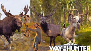 Bulls, Bucks, and Bows | Way of the Hunter