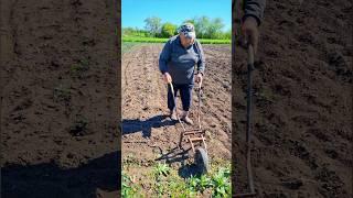 Wheel Hoes — an efficient wheel hoe for fast soil cultivation