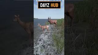 Dayz-Hub presents. The cost is two deer #dayz #funny