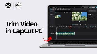 How To Trim Video in CapCut PC | Cut Part of a Video on CapCut (2024)