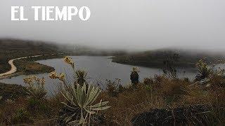 9. Sumapaz, alma de páramo | Especies: una nueva expedición | EL TIEMPO y Canal Tr3ce