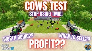 COWS TEST - Farming Simulator 22