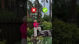 Не рыхлите – мульчируйте!