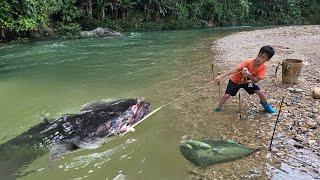 FULL VIDEO: 30 days boy khai Arranging rocks to make fish traps fishing for catfish Fishing skills