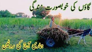 Village Routine Workout | Beautiful Village Life In Pakistan | Village Life.