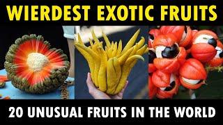 Unusual Exotic Fruits around the World | 20 Weirdest Fruits in the World