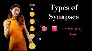 Types of Synapses