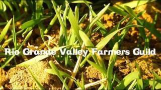 ENTREPRENEURSHIP | Rio Grande Valley Farmers Guild | New Mexico PBS