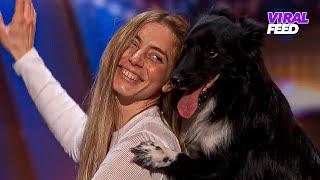 Dog Act Audition Gets STANDING OVATION On America's Got Talent 2024! | VIRAL FEED