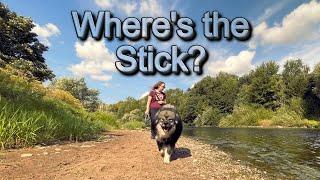 Funny Moments from the River Eden Walk - Cumbria - Lake District