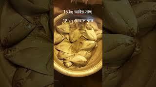 ১৮ কেজি বোয়ল এবং ১৬ কেজি  আইড় মাছ, মিরপুর ১ বাজার। 18 kg of boiled fish and 16 kg of boiled fish.