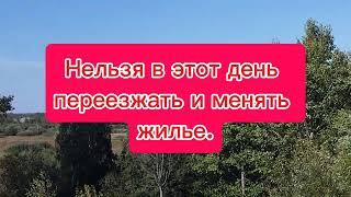 17 ноября 2024, Ерёмин день, церковный календарь, народные приметы,#какойсегодняпраздник