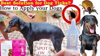 My Dogs Affected by TICKS| Really SPOT ON Works?| How To Apply SPOT ON Flea Treatment To Your Dog?