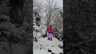 ️️ #snowfall #northsikkim #lachung #lachungnorthsikkim #shortvideo #travel #love