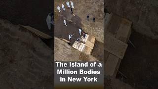 The Island of a Million Bodies in New York #shorts #facts #history