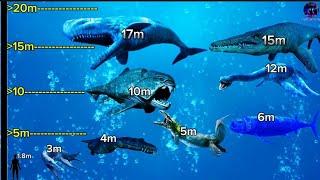 TOP 8 ANCIENT PREDATORS BIGGER THAN HUMANS THAT ONCE LIVED IN THE OCEAN