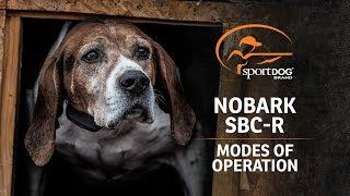 SportDOG Brand® NoBark SBC-R :: Modes of Operation