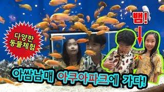 [아쿠아파크] 다양한 동물체험 & 먹이주기!  Feeding animals ㅣ 아쌈튜브 ASSAMtube