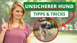 UNSICHEREN Hund zu mehr SELBSTVERTRAUEN führen | Tipps & Tricks