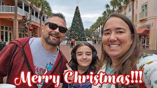 Merry Christmas From Medling World! Celebration, Florida!