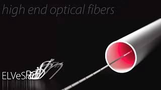 biolitec lasers and fibers Medica 2012