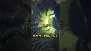 翡翠原石 #珠宝首饰 #翡翠手镯定制 #翡翠#缅甸翡翠 #缅甸玉石 #天然翡翠 #天然翡翠a货