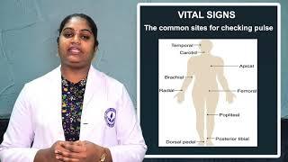 Nursing Course | Vital Signs in the human body I BSc 1st Year I Foundation of Nursing