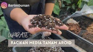 Potting mix/ media tanam aroid update