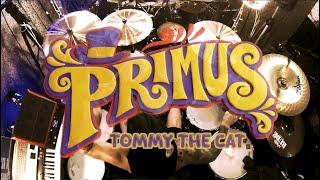 PRIMUS -Tommy the Cat (drum cover)