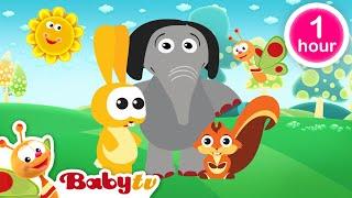 Jogando Futebol ​ + mais clássicos da BabyTV  | episódios completos @BabyTVPT