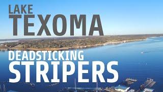 Deadsticking for Stripers on Lake Texoma (CATCH AND COOK)