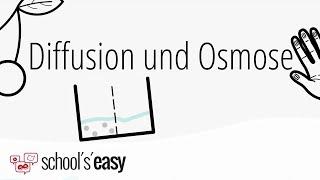 Diffusion und Osmose - Wie geht's?