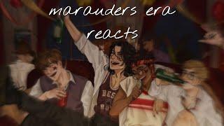 marauders timeline reacts | part 1|? || chiara :)