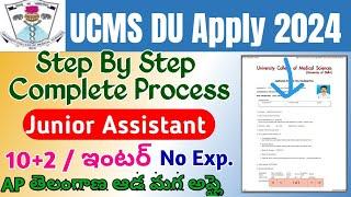 UCMS DU Junior Assistant Apply Online 2024 Telugu|How to apply UNCS Junior Asst. 2024