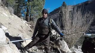 Solid Brown Trout in the West Walker River (Off HWY395)