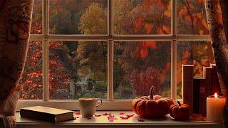 Relaxing Autumn Rain on Window - Fall Ambience with Rain in the Forest - Rain Sounds to Sleep & Work