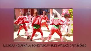 Mjukuu Ngubhala Song Tukumbuke wazazi Official Audio