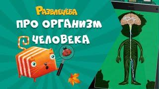 Развлечёба. Окружающий мир. Про организм человека