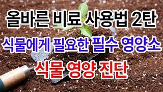 올바른 비료 사용법 2탄 식물에게 필요한 필수 영양소와 식물 영양 진단