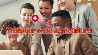  5 mejores Trabajos en Suiza con Alojamiento Incluido (2024)