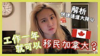 快速通道大降分 工作一年就可以移民加拿大？｜Winni 維妮不是熊