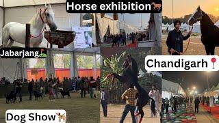 Chandigarh Horse exhibition//Jabarjang te khalifa leke phonche️