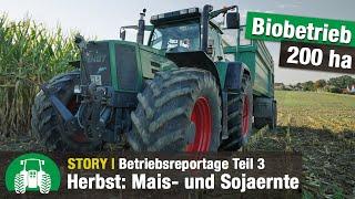 Biolandhof Breitsameter Teil 3: Mais- & Sojaernte | Besuch Hof Bichler | John Deere | Fendt | Ernte