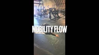 Mobility Flow 1