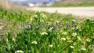 햇살 좋은 날~ 산책할 때 듣는 나들이 음악 On a sunny day. Outing music that I listen to when I take a walk