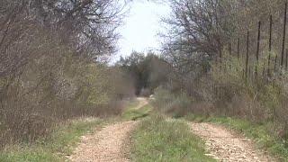 Ranch manager near Uvalde says migrants are causing property damage